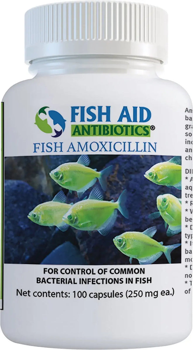 Fish aid antibiotics amoxicillin 250 mg 100 capsules - Gordonville, PA