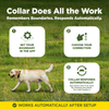 Dogtra GPS Dog Fence