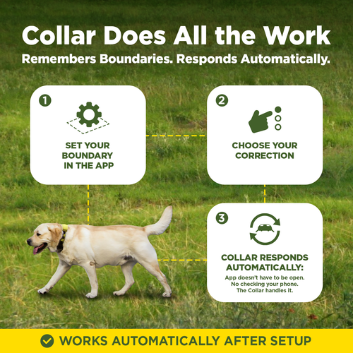 Dogtra GPS Dog Fence