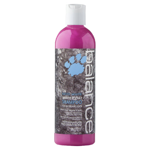 Glo Marr Brite White Shampoo