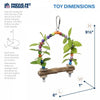 Prevue Pet Birds of Paradise Swing Bird Toy (Small to Medium)