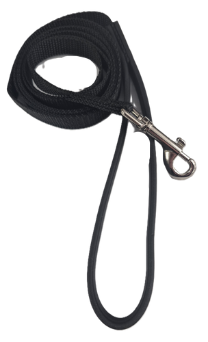 Puppy Leash 5/8 x 6' Nylon