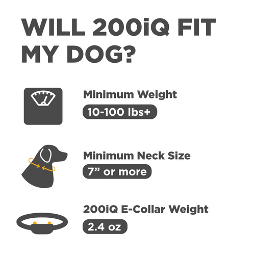 Dogtra 200iQ Remote trainer (1 dog unit)