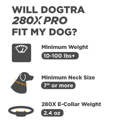 Dogtra 280X PRO, Remote Trainer (1 Dog Unit )