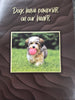 Kings Pet Puppy Health Record Folders (Assorted) 9x12