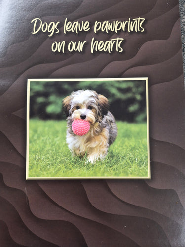 Kings Pet Puppy Health Record Folders (Assorted) 9x12