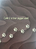 Kings Pet Puppy Health Record Folders (Assorted) 9x12