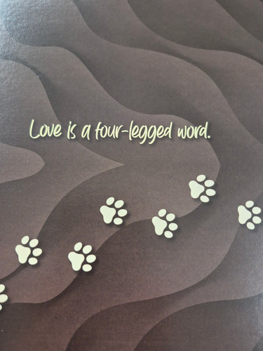 Kings Pet Puppy Health Record Folders (Assorted) 9x12
