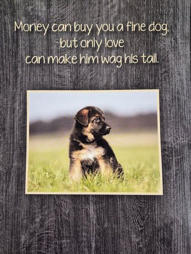 Kings Pet Puppy Health Record Folders (Assorted) 9x12