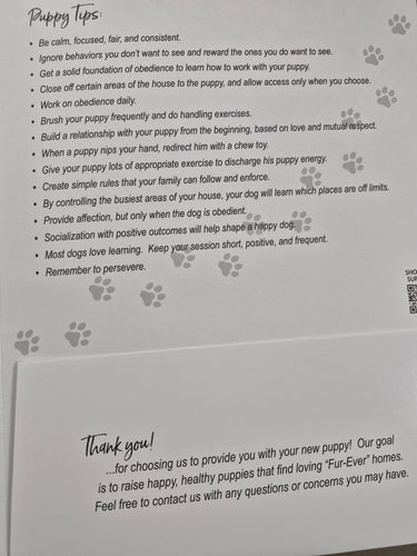 Kings Pet Puppy Health Record Folders (Assorted) 9x12
