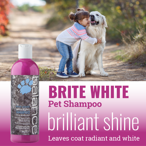 Glo Marr Brite White Shampoo