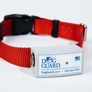 Dog Guard DG9 Receiver (No Collar)