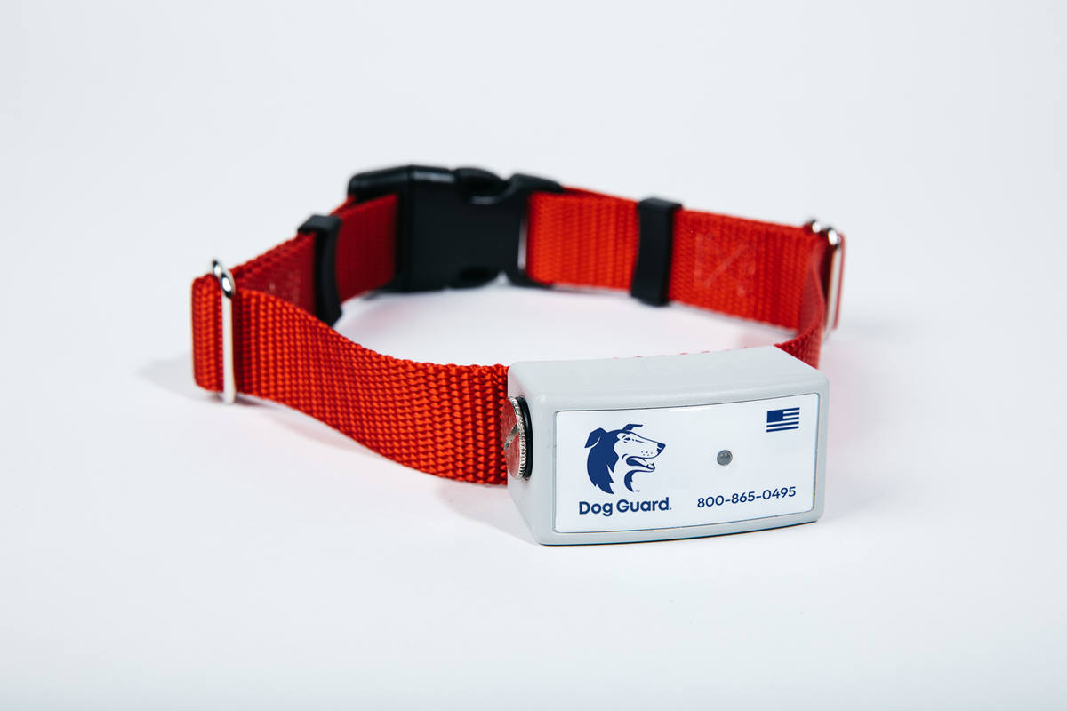 Dog Guard, New Dog Kit - Gordonville, PA - King's Pet