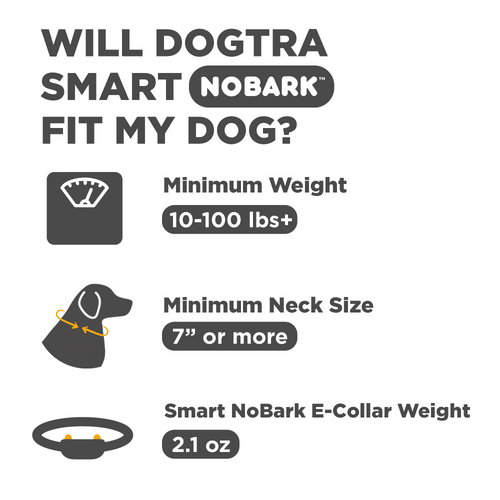 Dogtra Smart NoBark