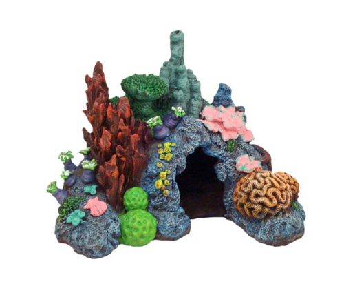 Blue Ribbon Pet Products Exotic Environments Reefflections Caribbean Living Reef