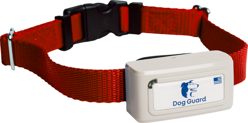 Dog Guard Rechargeable Receiver (DG11 Freedom Pro) Kit