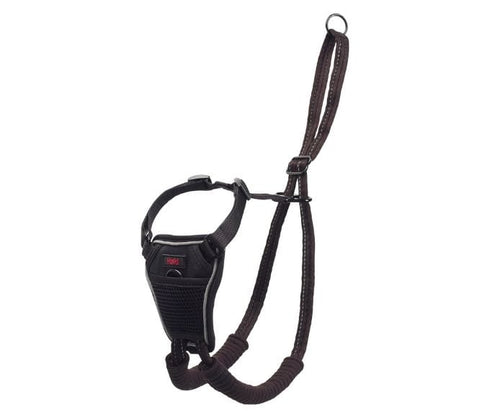 Company of Animals Halti No Pull Harness (Black, Medium)