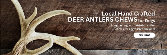 NATURAL DOG CHEWS HANDMADE IN USA, buy now