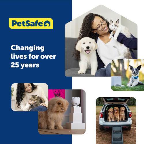 Pet Safe Remote Trainer USB Charging Cable