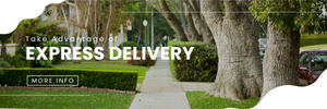 Express delivery banner