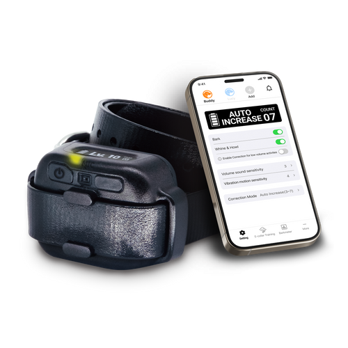 Dogtra Smart NoBark