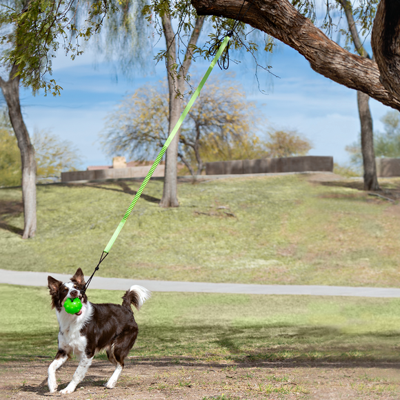 Jolly Pets Tree Tugger Bungee (Large, Green)