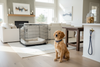 Puppy Welcome Home Bundle w/options