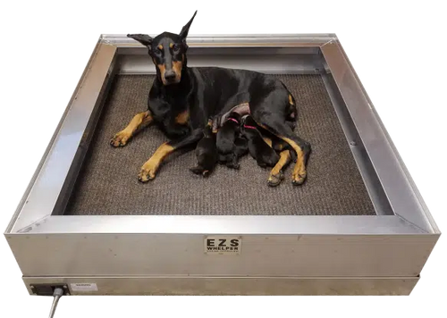 Whelpers EZS Whelper Whelping Box - Gordonville, PA - King's Pet
