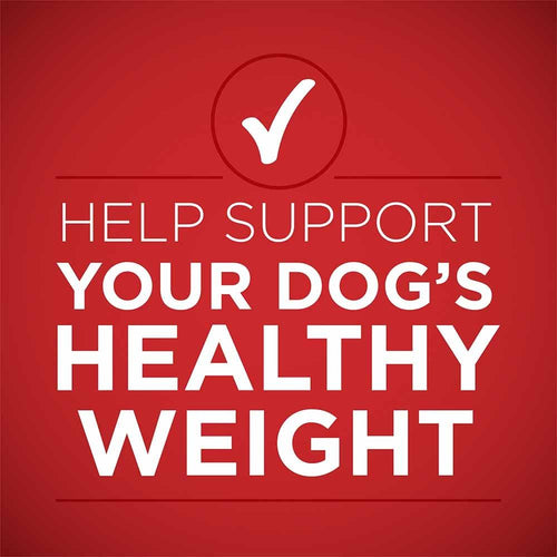 Purina ONE Plus Healthy Weight Tender Cuts In Gravy Lamb & Brown Rice Entrée Wet Dog Food