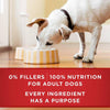 Purina ONE Plus Healthy Weight Tender Cuts In Gravy Lamb & Brown Rice Entrée Wet Dog Food
