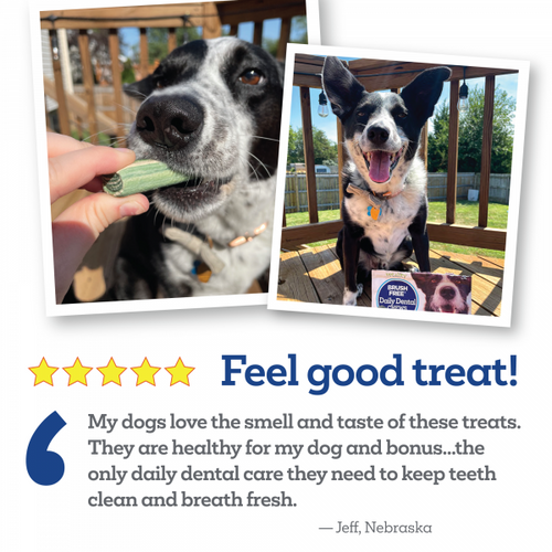 Vetality Brush Free Daily Dental Chews for Dogs