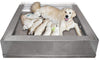EZS Whelper Whelping Box