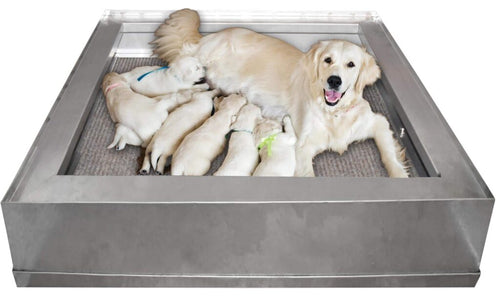 EZS Whelper Whelping Box