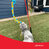 Tether Tug SMALL Outdoor & Indoor Tether Tug for Dogs Under 35 lbs.