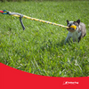 Tether Tug SMALL Outdoor & Indoor Tether Tug for Dogs Under 35 lbs.