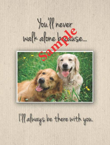 Kings Pet Puppy Health Record Folders (Assorted) 9x12