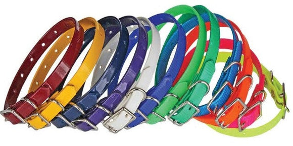 Puppy ID Collars