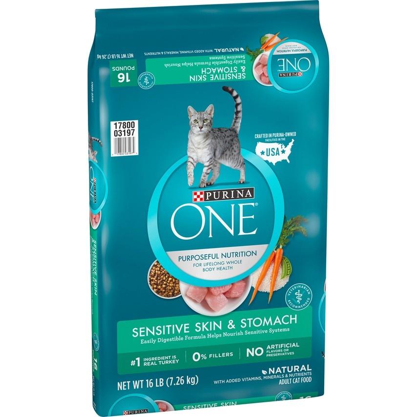 Purina ONE Sensitive Systems Dry Cat Food - Gordonville, PA - King's Pet