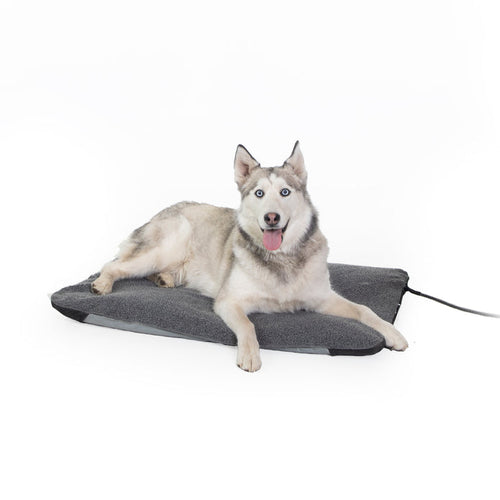 Heated pet bed online