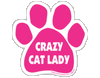 Imagine This Crazy Cat Lady Car Magnet