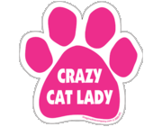 Imagine This Crazy Cat Lady Car Magnet