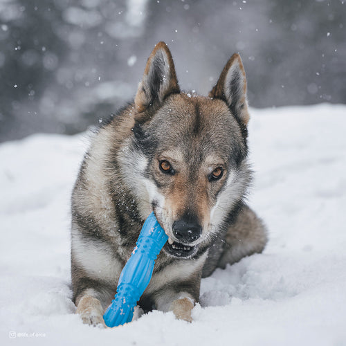 Coastal Pet Products ProFit Foam Toy Stick